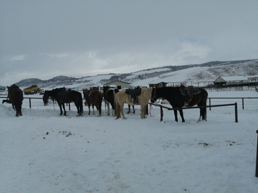 horseback ride Steamboat Springs