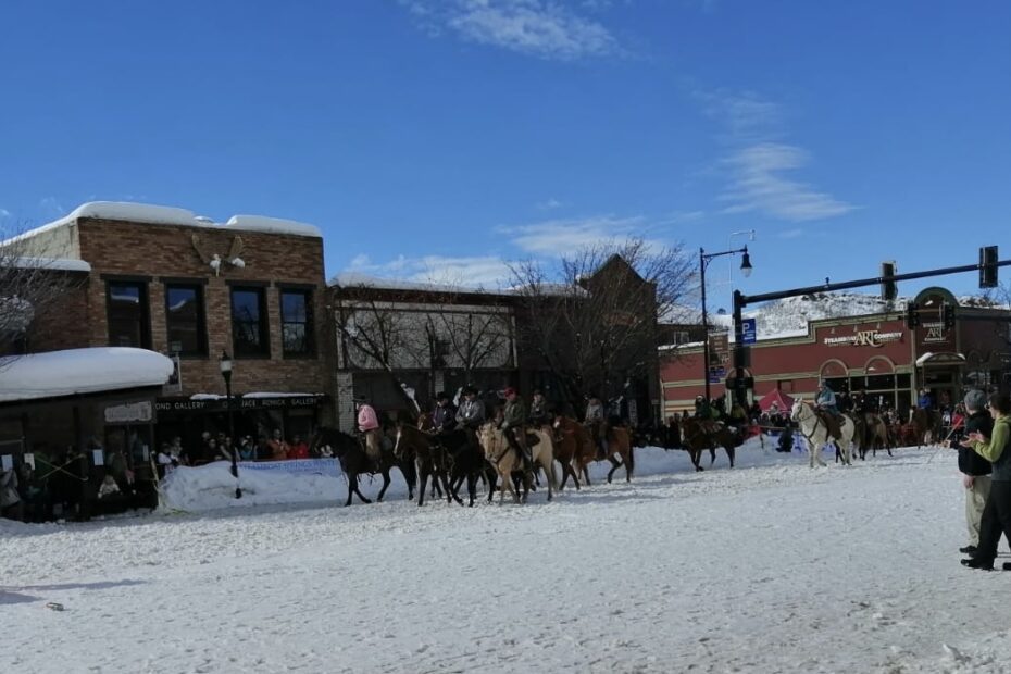 Winter carnival horses